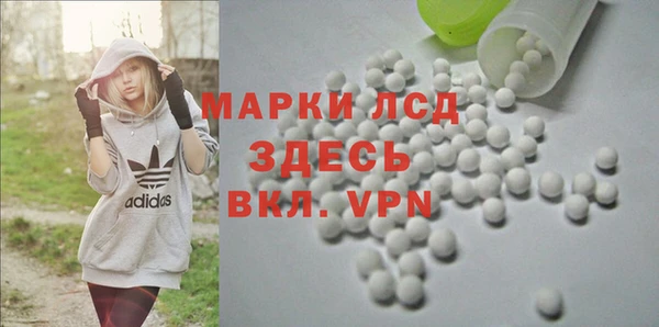 тгк Алзамай