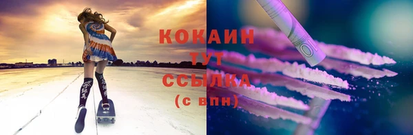 тгк Алзамай