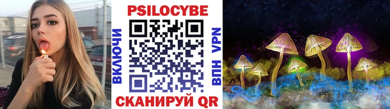 где можно купить   Лесосибирск  даркнет наркотические препараты  Галлюциногенные грибы Psilocybine cubensis 