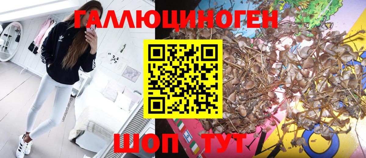 Галлюциногенные грибы прущие грибы  Вход с VPN  Псилоцибиновые грибы Psilocybine cubensis  Лесосибирск 