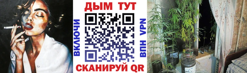МАРИХУАНА ГИДРОПОН  Лесосибирск 