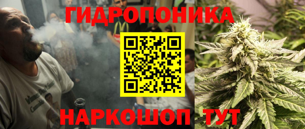 Бошки марихуана OG Kush  Вход с VPN  Марихуана ГИДРОПОН  Бошки марихуана ГИДРОПОН  Лесосибирск 